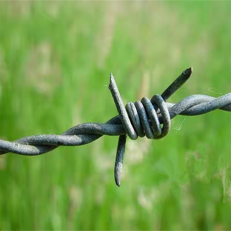 台湾现货不锈钢丝刺绳厂家供应基隆场地刺绳围栏新余带刺围栏
