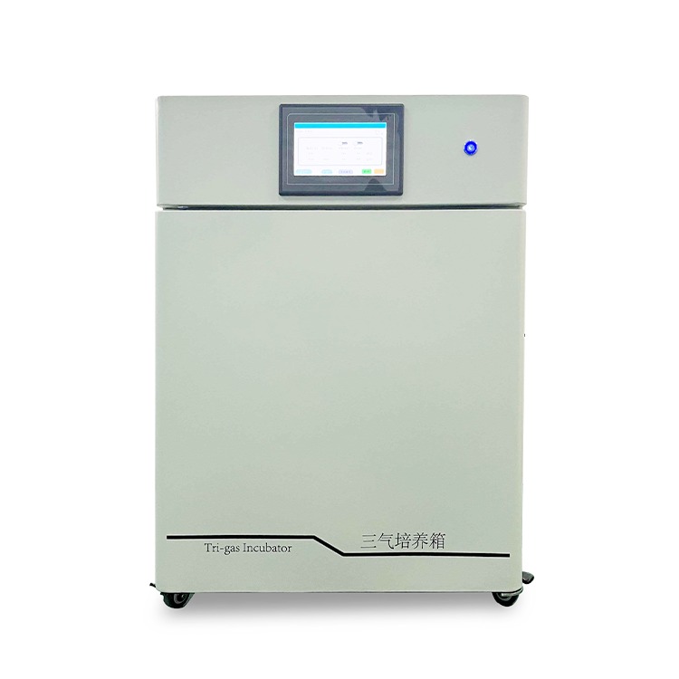 川一 三气培养箱 CYSQ-80-III 低氧细胞培养装置  混合气体培养箱  惰性气体培养箱