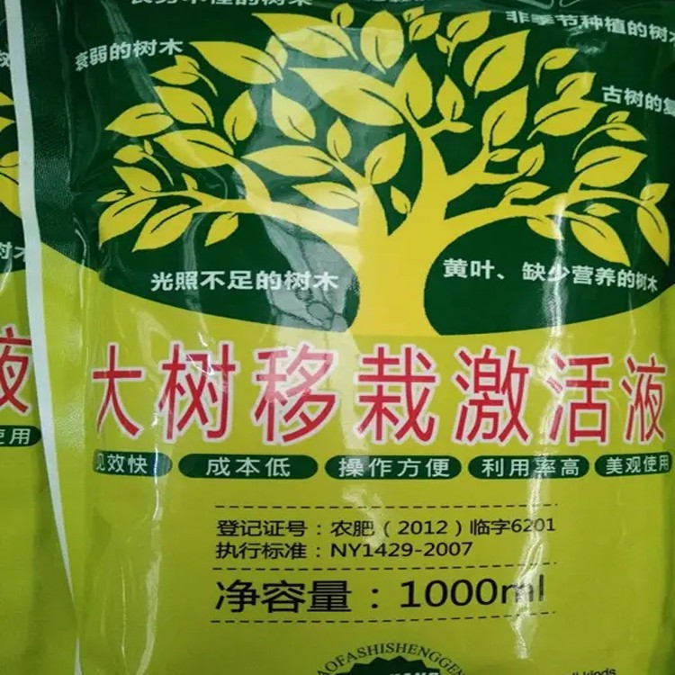 台湾花莲县大树吊针液新移栽种植的树木古树复壮