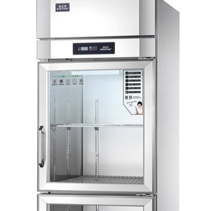 冰立方商用冰箱 S0.5G2欧款立式陈列柜 立式二门冷藏展示柜