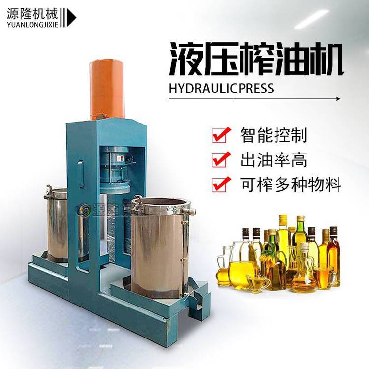 棕榈籽立式冷榨机 橄榄商用挤压榨油机 亚麻籽精炼液压设备