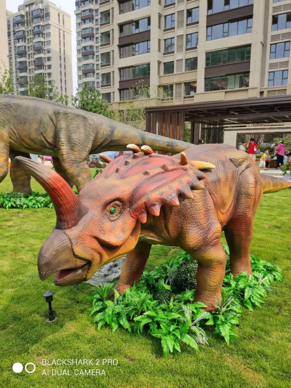 工厂专业定制各类仿真动物模型出售 恐龙模型出租 恐龙展租赁