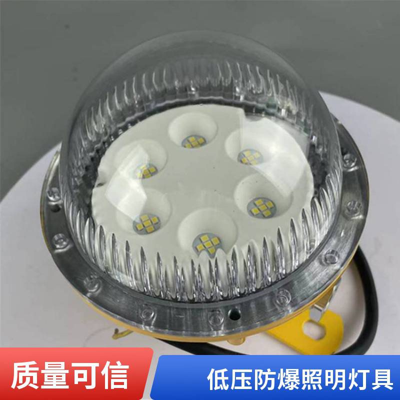 LED固态防爆安全照明灯BAD603-15W/24V低压免维护吸顶灯圆形节能
