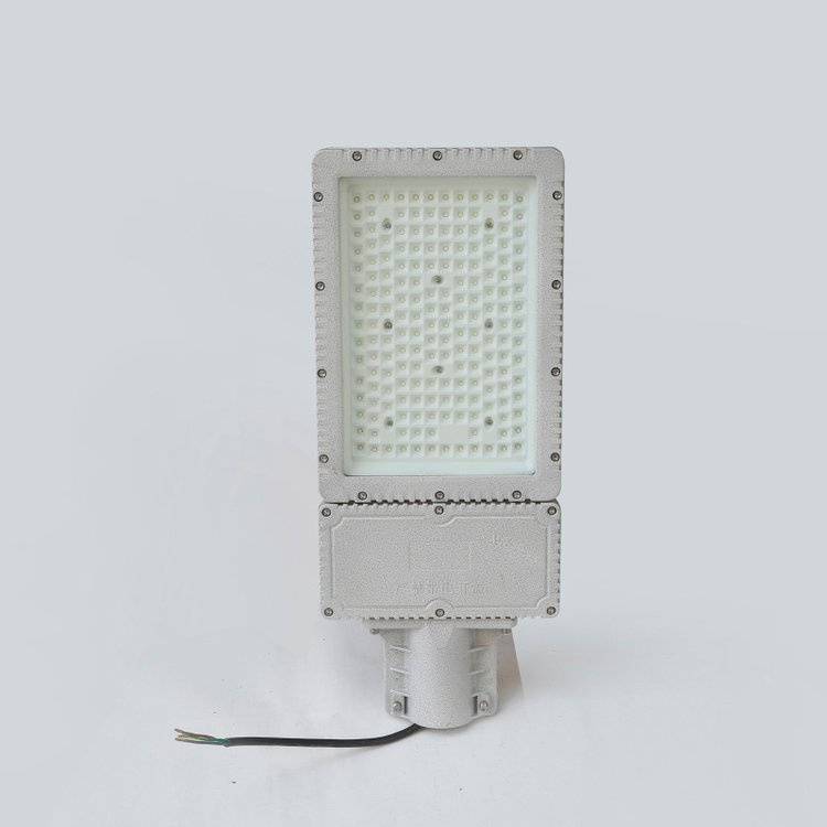 LED防爆道路灯 DN60灯头接口 适配常规灯杆 防水防尘防爆路灯头