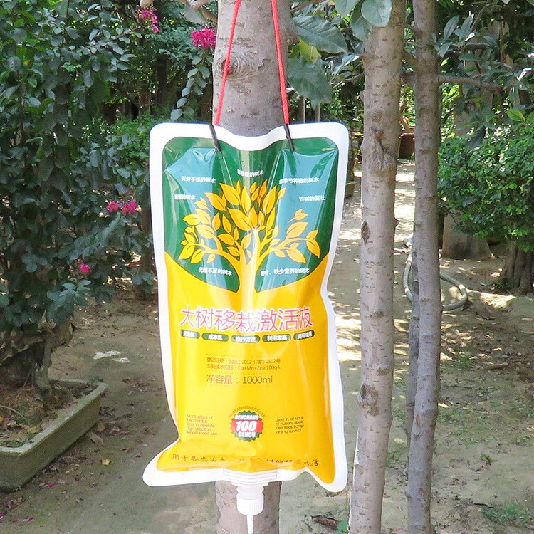 安徽合肥大树吊针液新移栽种植的树木古树复壮