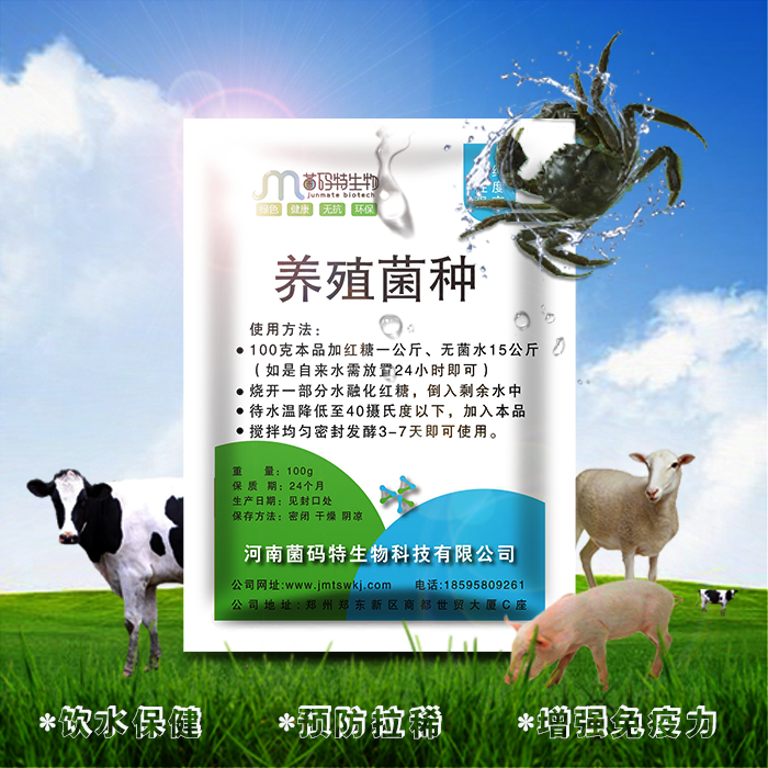 建宁县酒糟喂羊要先发酵养殖菌种