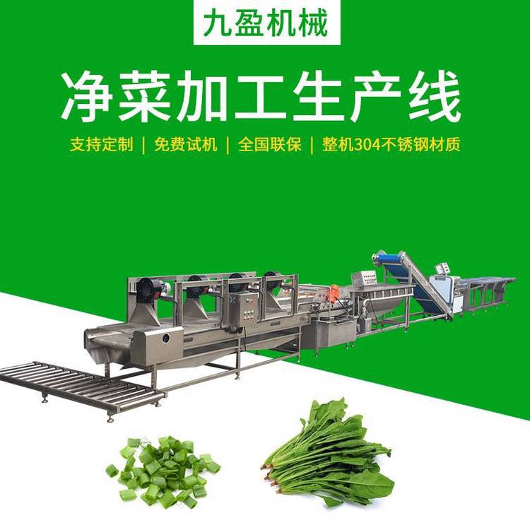 九盈JY-LSX1800净菜加工流水线 蔬菜加工 中央厨房蔬菜加工生产线