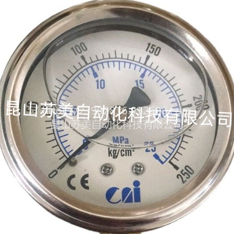 CNI充油压力表 CNI充油压力计 CNI温度计 CNI流量计 苏美自动化